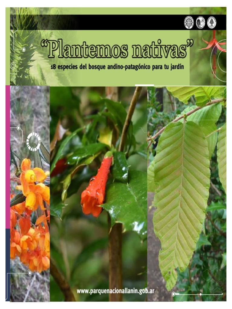 Plantas Nativas para tu Jardín | PDF | Los bosques | Riego