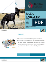 Raza Andalucia