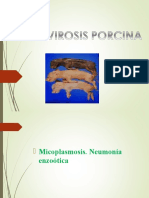 PARVOVIROSIS PORCINA