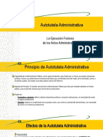 Clase Temas de Procedimientos Administrativos V - Ejecucion Forzosa