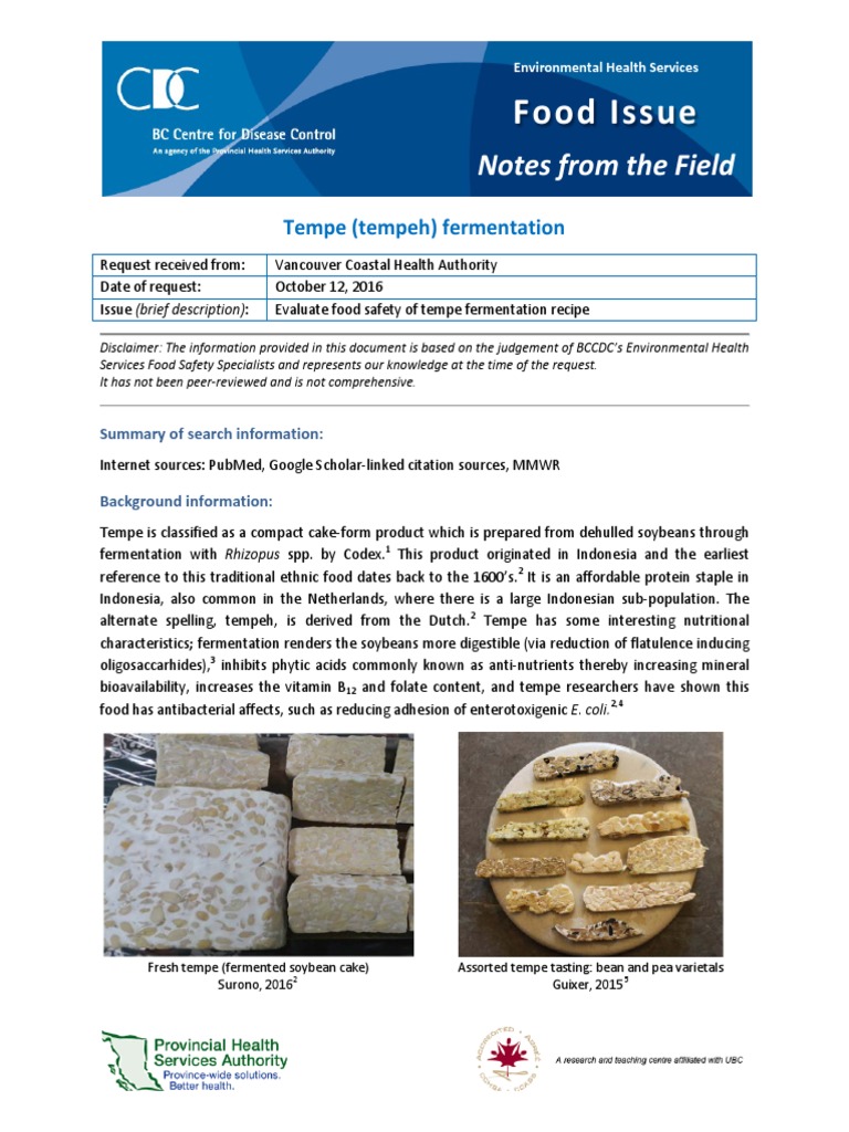 Tempeh Fermentation PDF