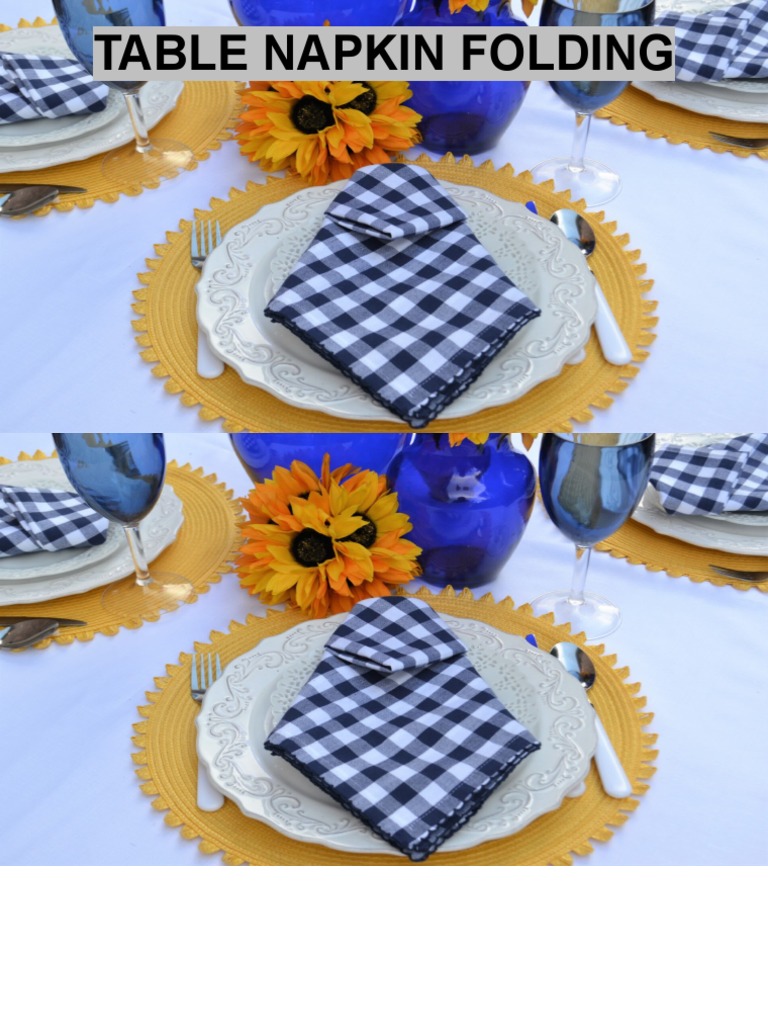 Table Napkin Folding PDF