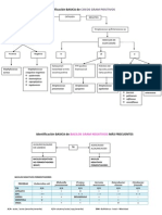 Identificaci+ N BASICA de Cocos Gram Positivos