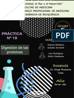 Practica 19. Digestión de Proteínas