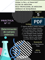 PRACTICA 17. Determinación de Cuerpos Cetónicos