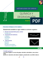 Diapositivas Degradación de Lípidos