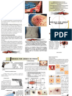 Heridas Por Armas de Fuego