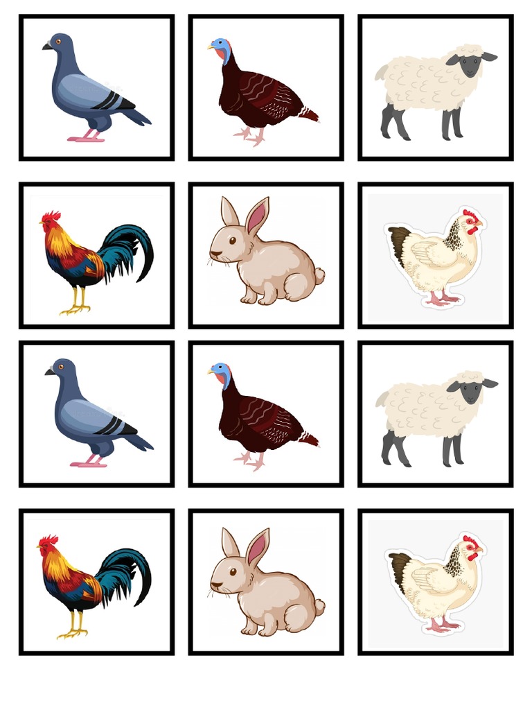 Flash Card Binatang PDF