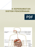 Askep Sistem Pencernaan