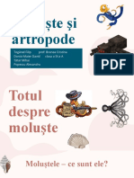 Moluste Si Artropode - Proiect Biologie