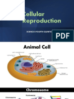 MITOSISMEIOSIS