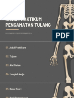 Praktikum Biologi Sistem Rangka