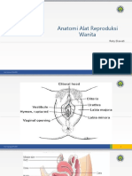 3 - Anatomi Reproduksi Wanita