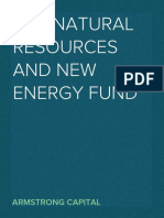 DSP Natural Resources and New Energy Fund 