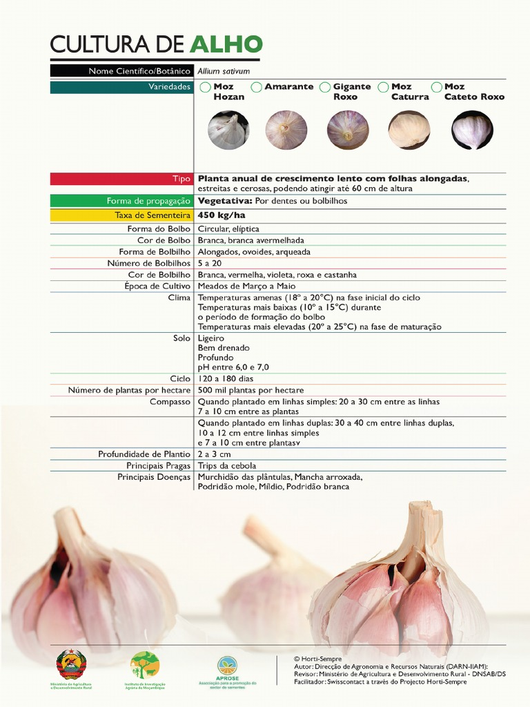 Variedades de Alho - HortSempre - Mocambique | PDF