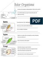 Unicellular Organisms Worksheet