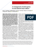 Targeted, Random Mutagenesis of Plant Genes With Dual Cytosine and Adenine Base Editors