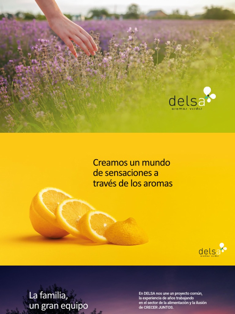 DELSA Presentacion ESP | PDF | Alimentos | Bebida