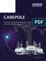 Carepolebrochure