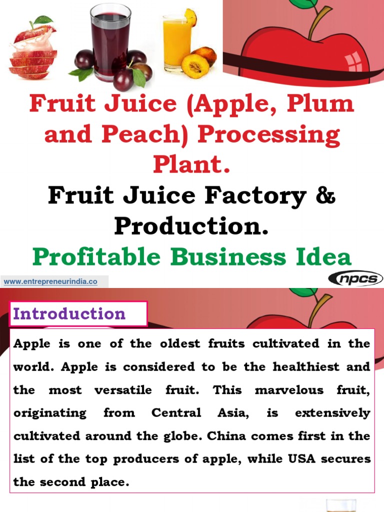 Fruit Juice (Apple, Plum and Peach) Processing Plant. Fruit Juice