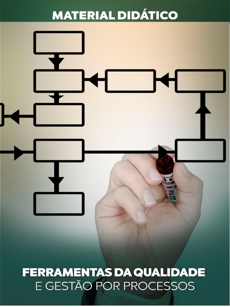 Ferramentas Da Qualidade E Gestão De Processos Pdf