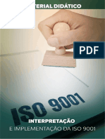 Interpretação e Implementação Da Iso 9001