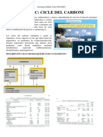 Tema 2C. Cicle Carboni