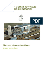 Anabel Montesinos Biomasa