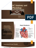 Cardiovascular System Anatomy and Physiology