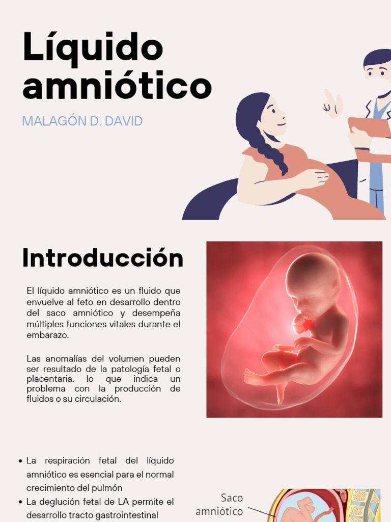 Líquido Amniótico - DM | PDF | Feto | El embarazo