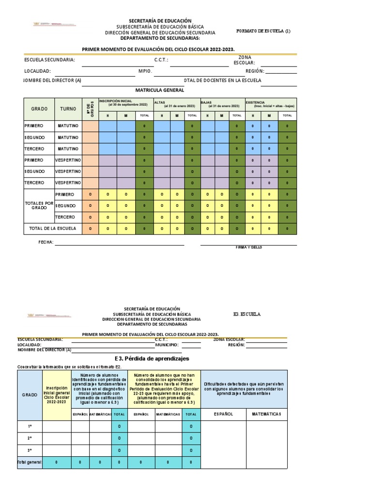 Formato E3 | PDF