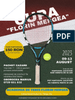 Turneu de Tenis Florin Mergea - 4 Gorj