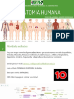 Aula 2 - Sistema Esquelético