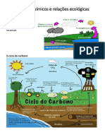 Ciclos e Relações Ecológicas