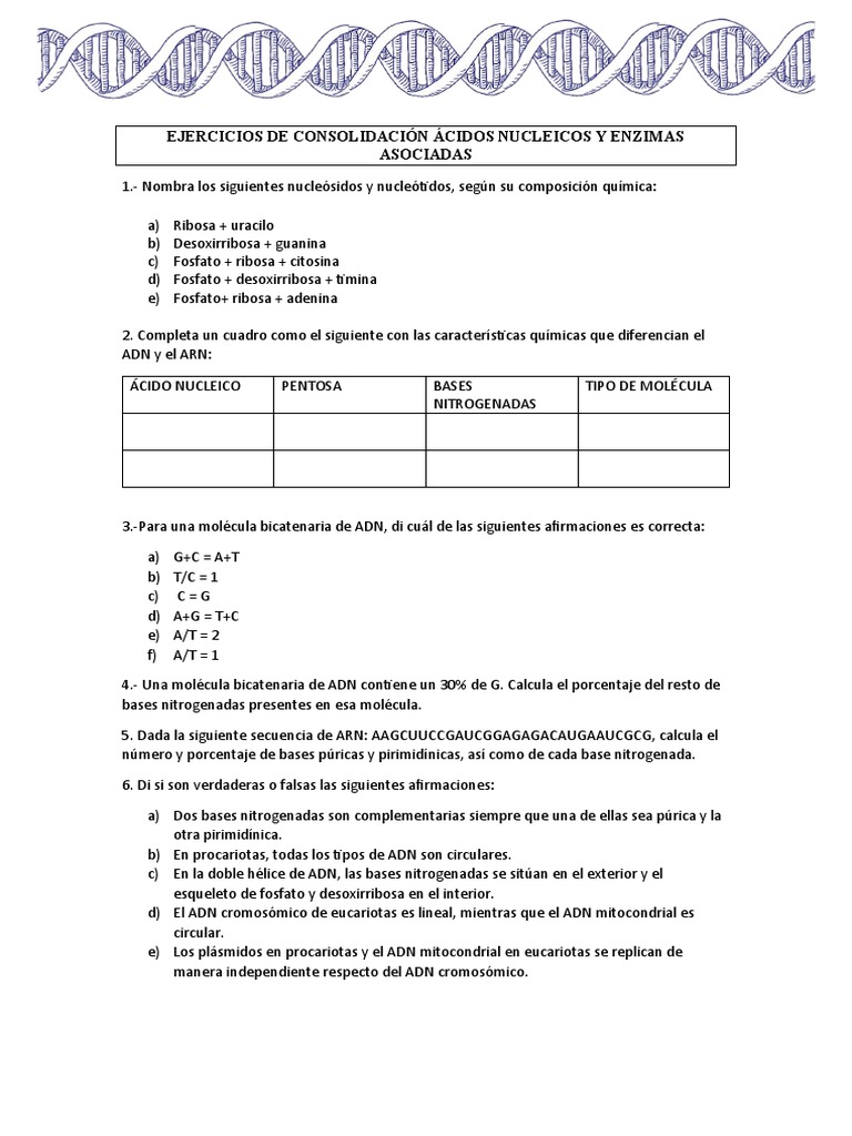 Ejercicios sobre Ácidos Nucleicos y Enzimas | PDF | Adn | Ácidos nucleicos