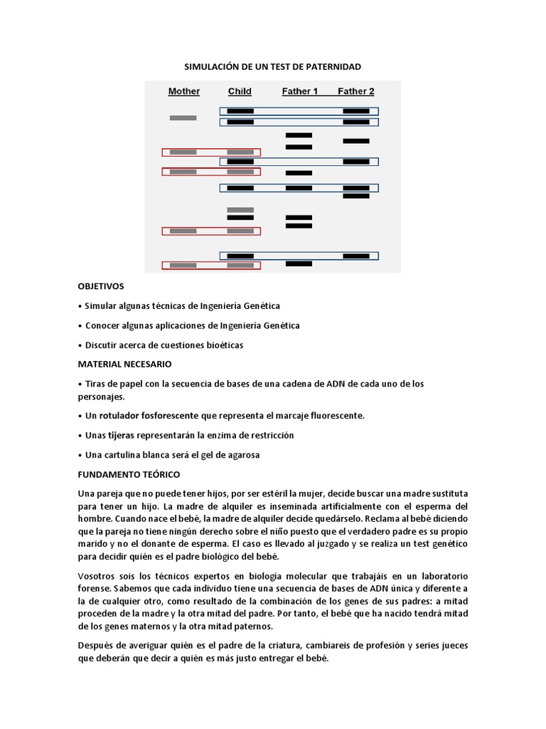 Simulación De Un Test De Paternidad Pdf Adn Subrogación