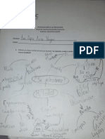 Parcial 2