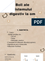 Boli Ale Sistemului Digestiv