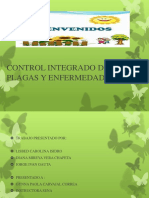 Controdeplagasyenfermedades 131024152227 Phpapp01