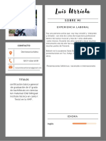 Curriculum CV Curriculo Academico Original Profesional Naranja