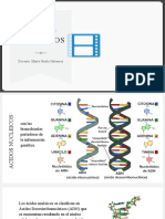 Acidos Nucleicos