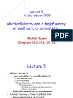 Multicellularity and A Survey of Multicellular Animal Life: 16 September 2008