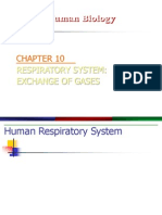 Respiratory System