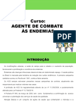 Trabalho Dos Agentes No Combate A Dengue1621274990