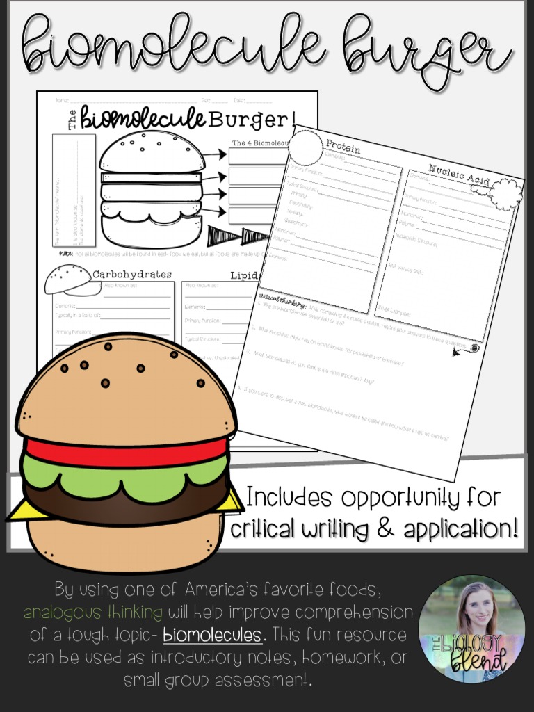 Biomolecule Burger: Engaging Biology Activity | PDF | Biomolecules ...
