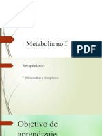 Metabolismo I