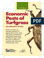 Economic Pests of Turfgrass (Identification Guide)