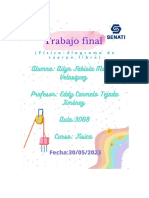 Trabajo Final de Fisica 2