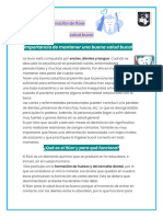 Importancia de Mantener Una Buena Salud Bucal Jornada