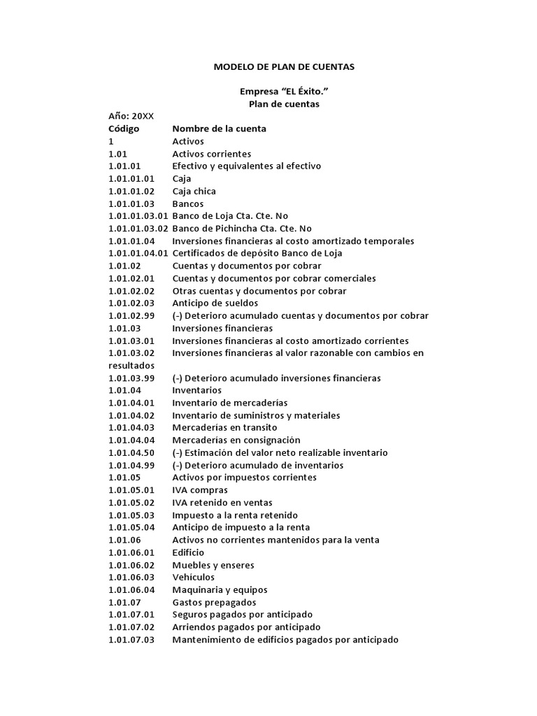 Plan de Cuentas para Empresa El Éxito | PDF | Activo intangible | Salario
